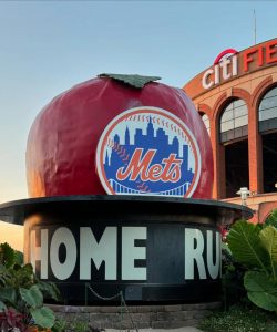 Mets stadium